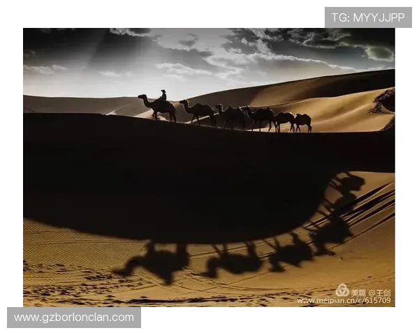 西安排球队的崛起之路:精英赛背后的奋斗与荣耀